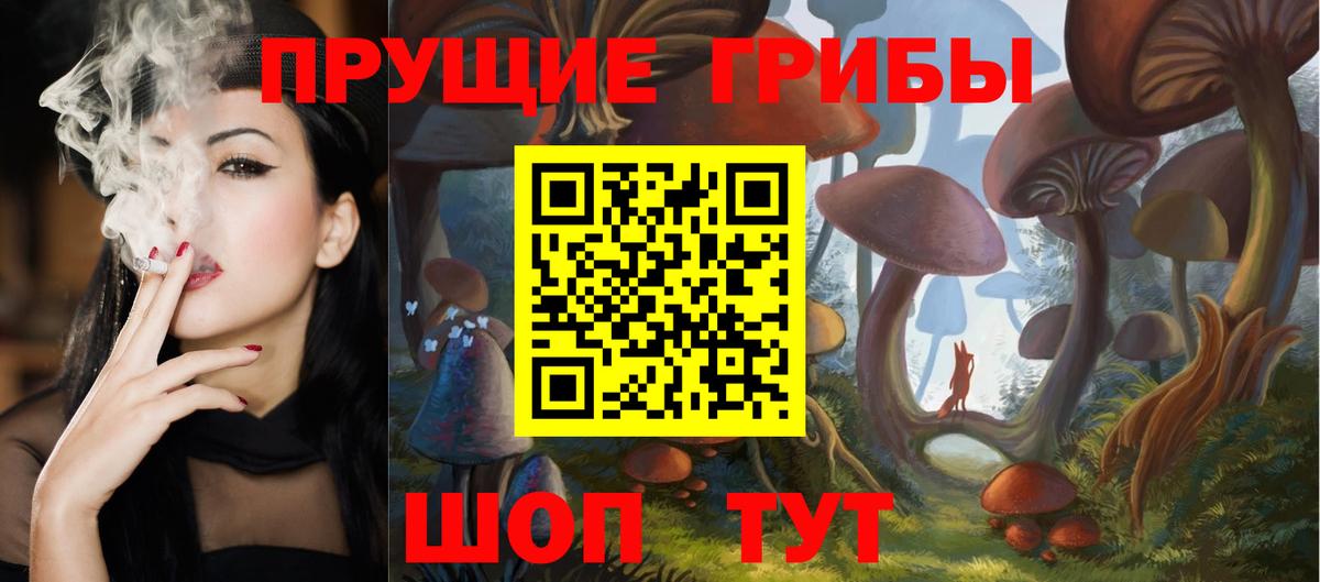 Галлюциногенные грибы GOLDEN TEACHER Новоалександровск